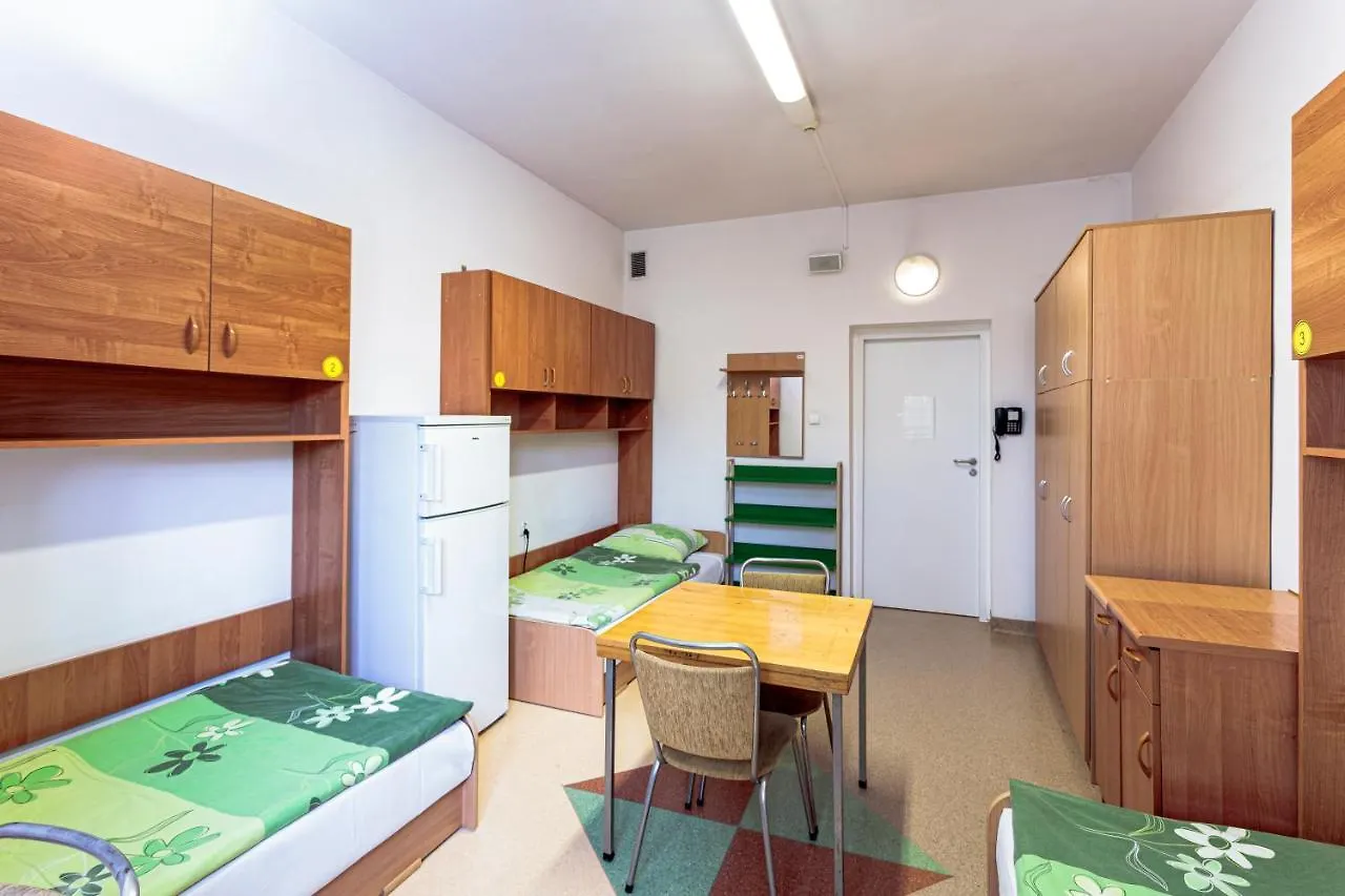 Dizzy Daisy Hostel Wroclaw Polonya